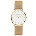 Watch Mesh Dial Minimalist Timepiece for Daily Wear - N