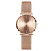 Watch Mesh Dial Minimalist Timepiece for Daily Wear - T