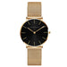 Watch Mesh Dial Minimalist Timepiece for Daily Wear - D