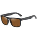 Sunglasses with Polarized UV400 Lenses Pilot Frame - Brown