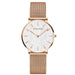 Watch Mesh Dial Minimalist Timepiece for Daily Wear - M