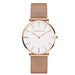 Watch Mesh Dial Minimalist Timepiece for Daily Wear - G