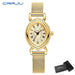 Vintage Oval Dial Mesh Delicate Bracelet Timepiece - Gold