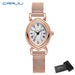 Vintage Oval Dial Mesh Delicate Bracelet Timepiece - Rose White
