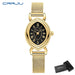Vintage Oval Dial Mesh Delicate Bracelet Timepiece - Golden Black