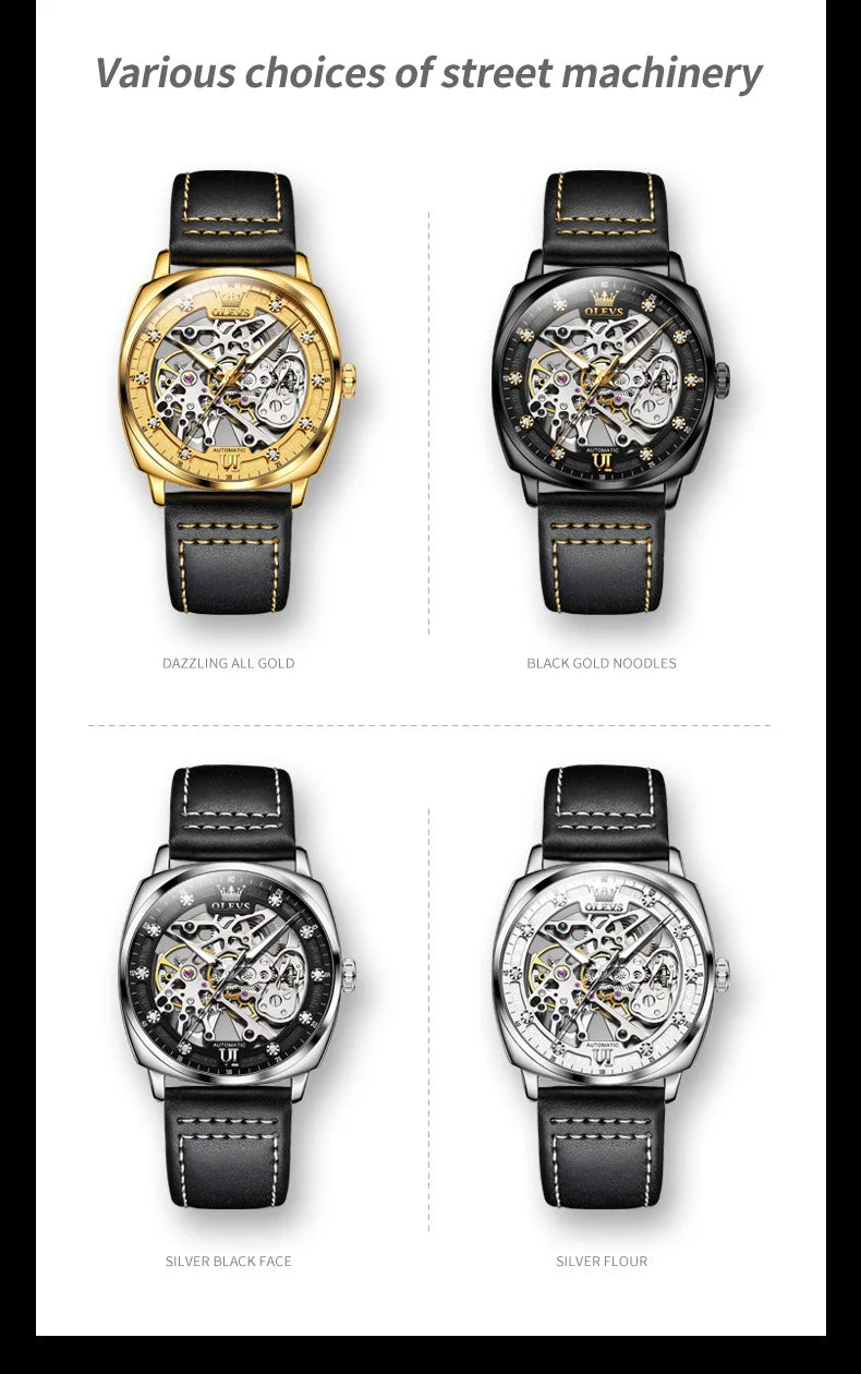 Skeleton Mechanical Wristwatch with Transparent Dial