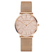 Watch Mesh Dial Minimalist Timepiece for Daily Wear - P