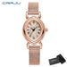 Vintage Oval Dial Mesh Delicate Bracelet Timepiece - Rose