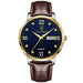 Men's Quartz Watch with Roman Dial And Day Date Display - Gold Blue