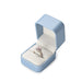 Elegant Jewelry Box Organizer Ring Necklace Bracelet - Blue Ring
